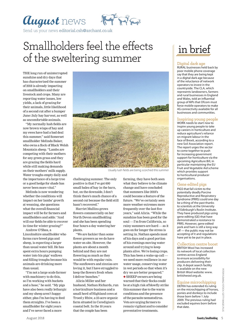 The Country Smallholder Preview Pages
