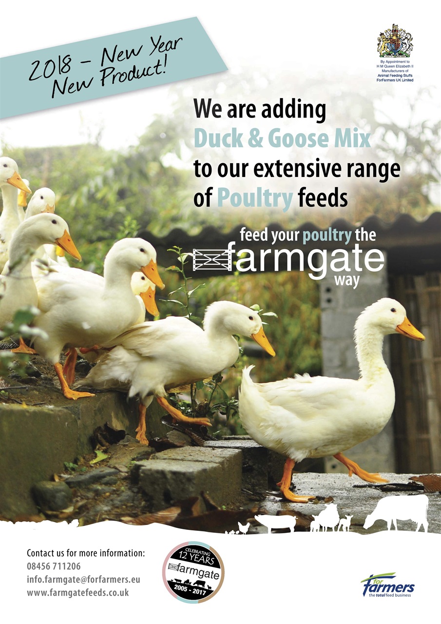 The Country Smallholder Preview Pages