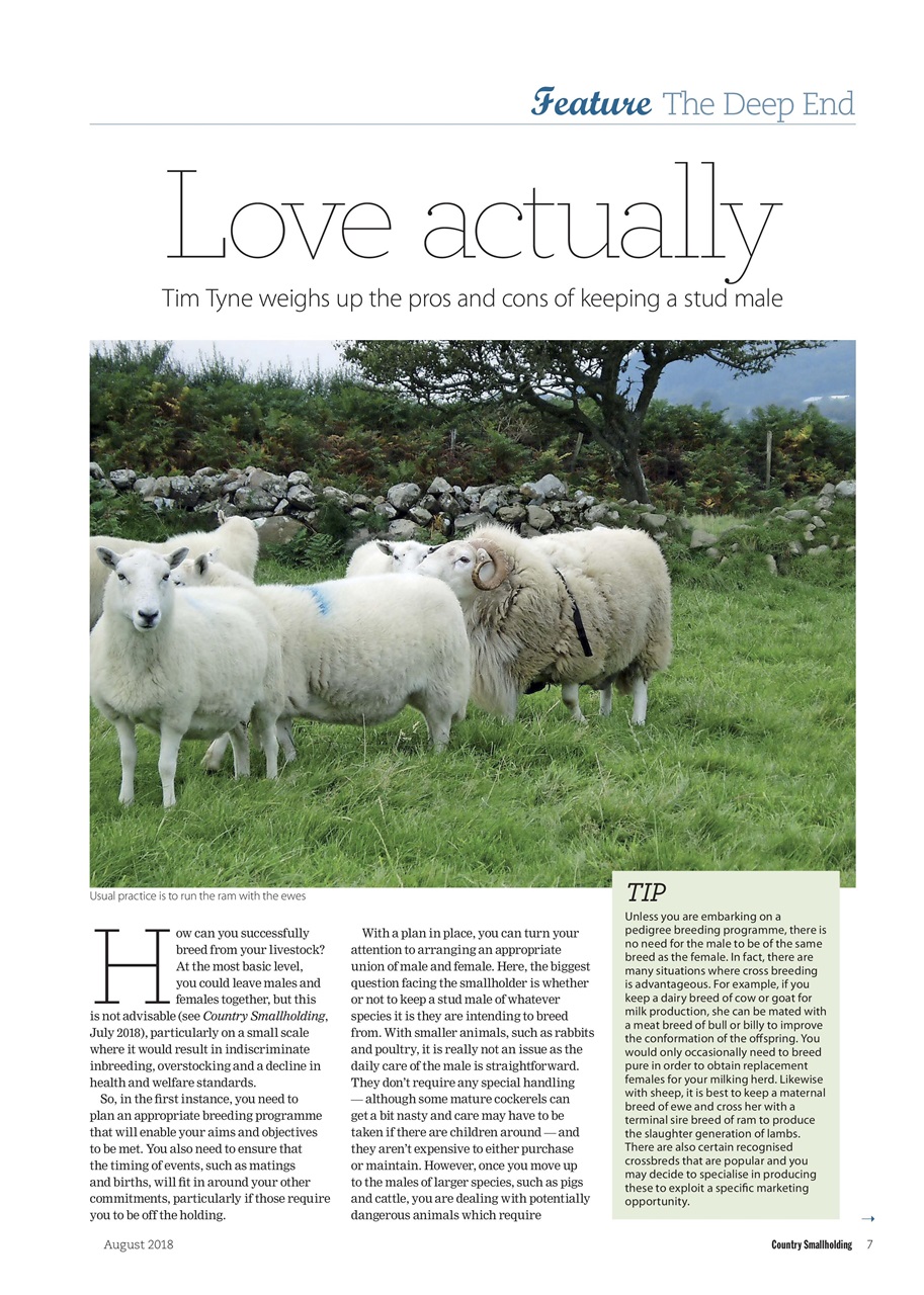 The Country Smallholder Preview Pages