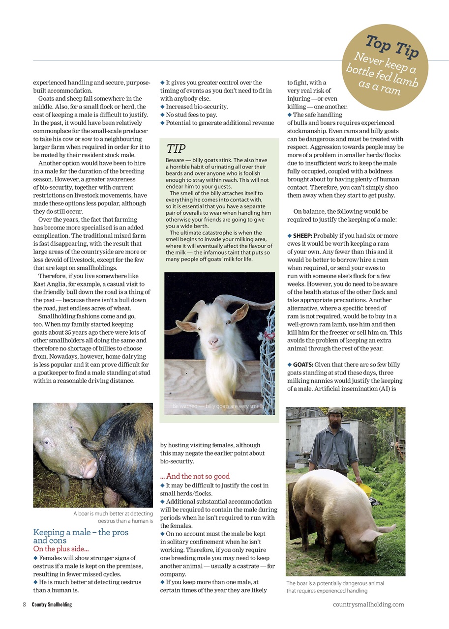 The Country Smallholder Preview Pages