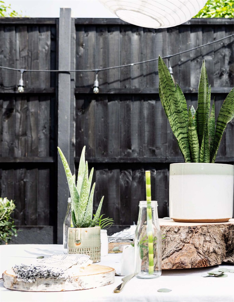 Reclaim Preview Pages