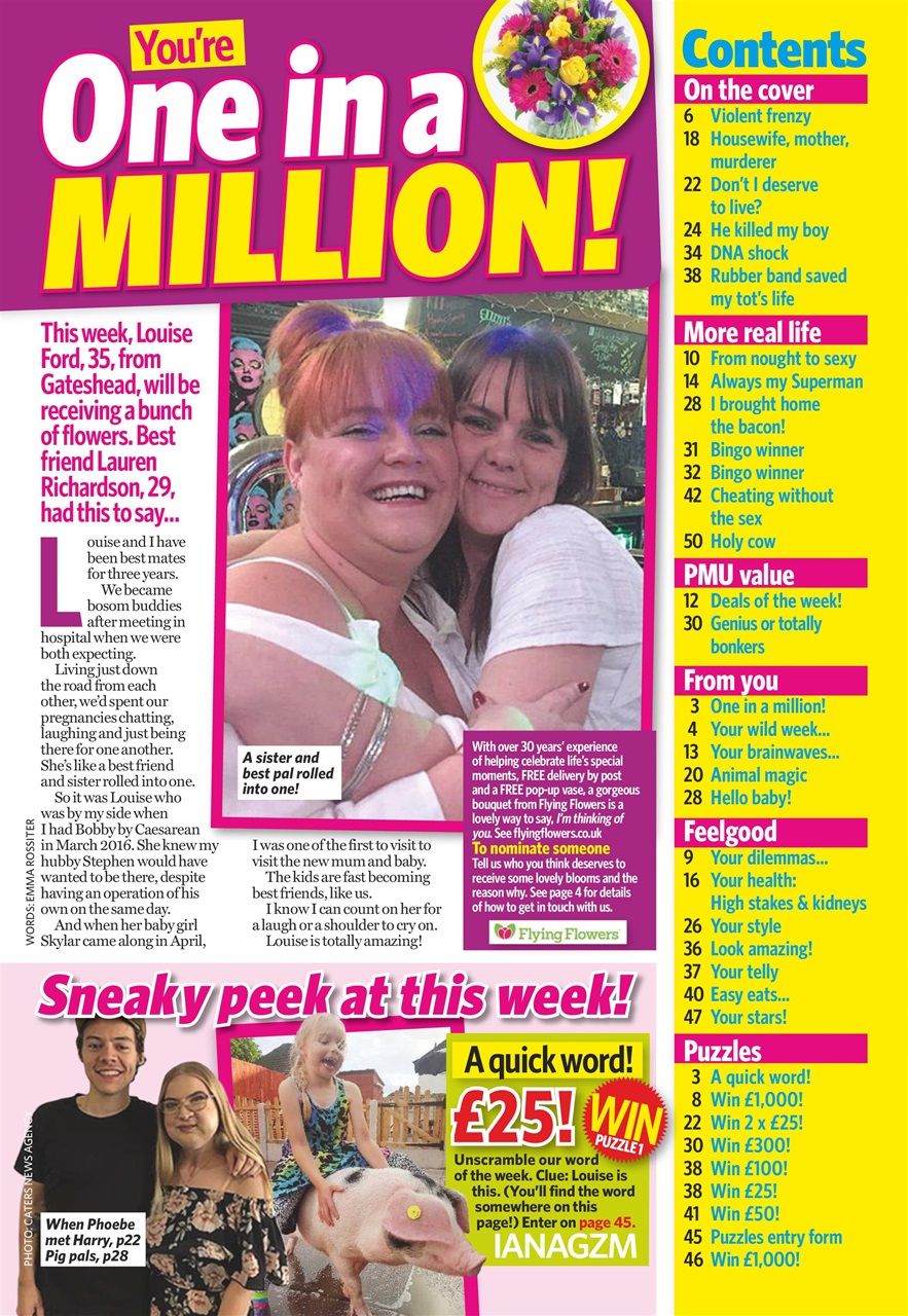 Pick Me Up Preview Pages