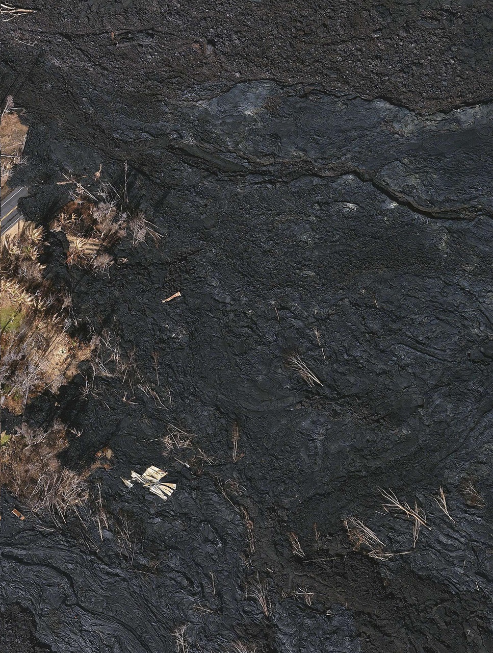 BBC Science Focus Magazine Preview Pages