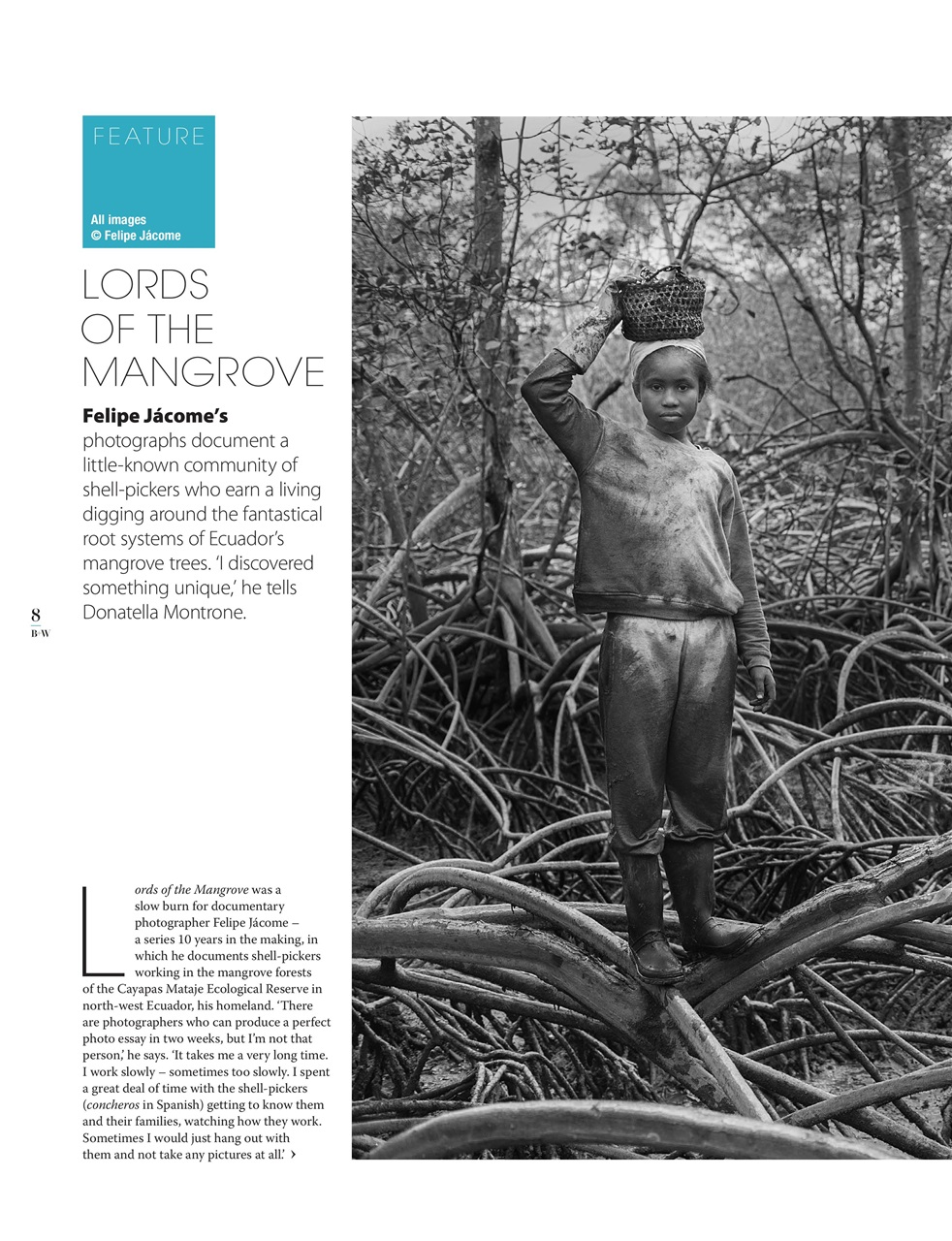 Black+White Photography Preview Pages