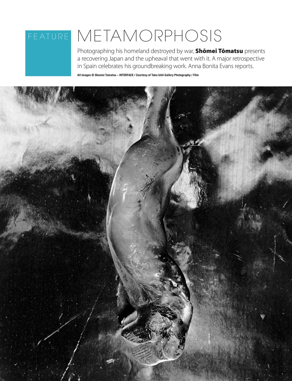 Black+White Photography Preview Pages