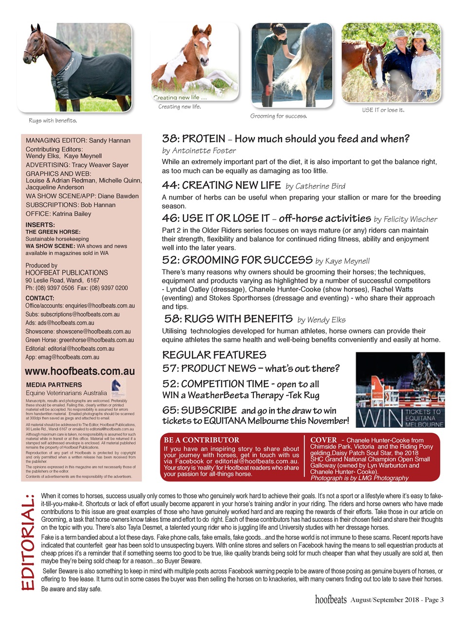 Hoofbeats Preview Pages