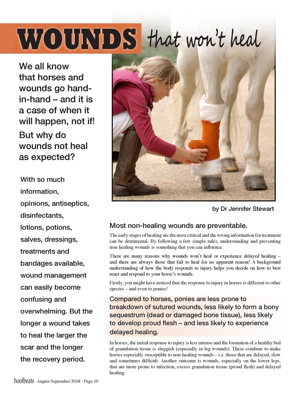 Hoofbeats Preview Pages