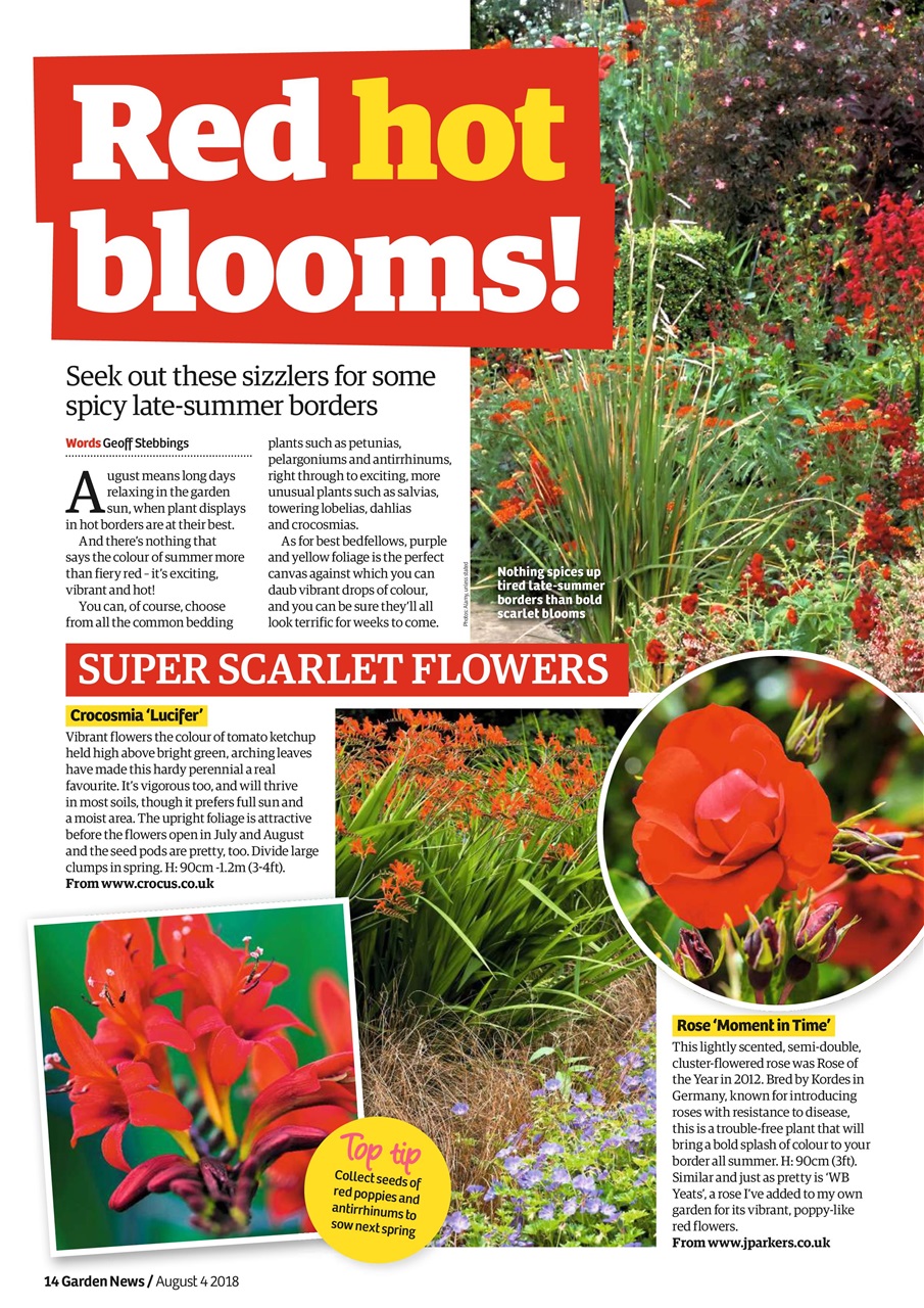 Garden News Preview Pages