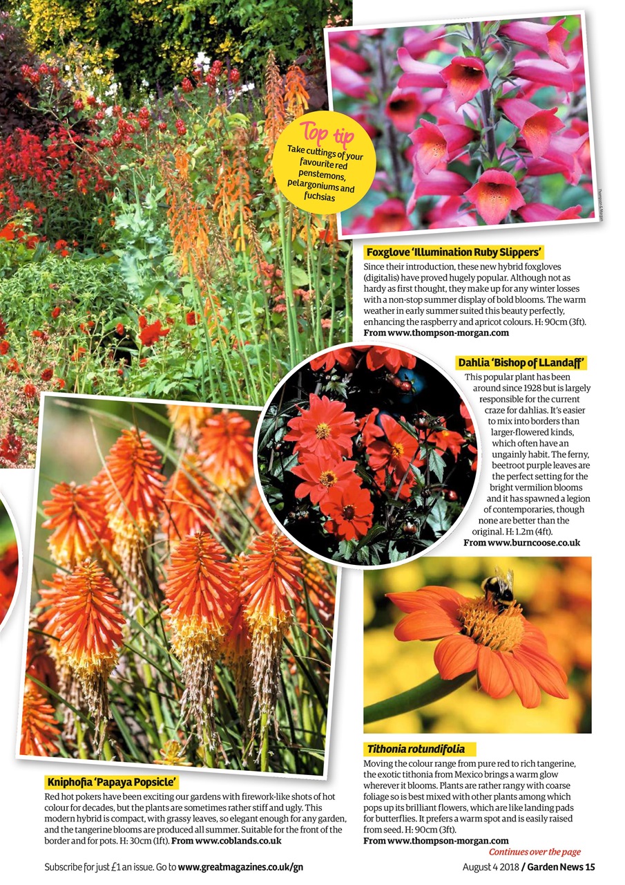 Garden News Preview Pages