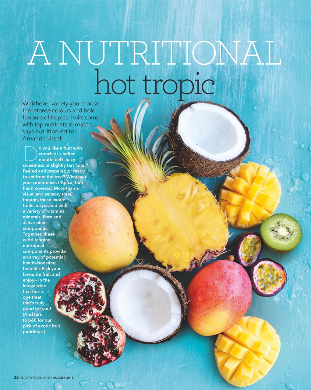 Healthy Food Guide Preview Pages