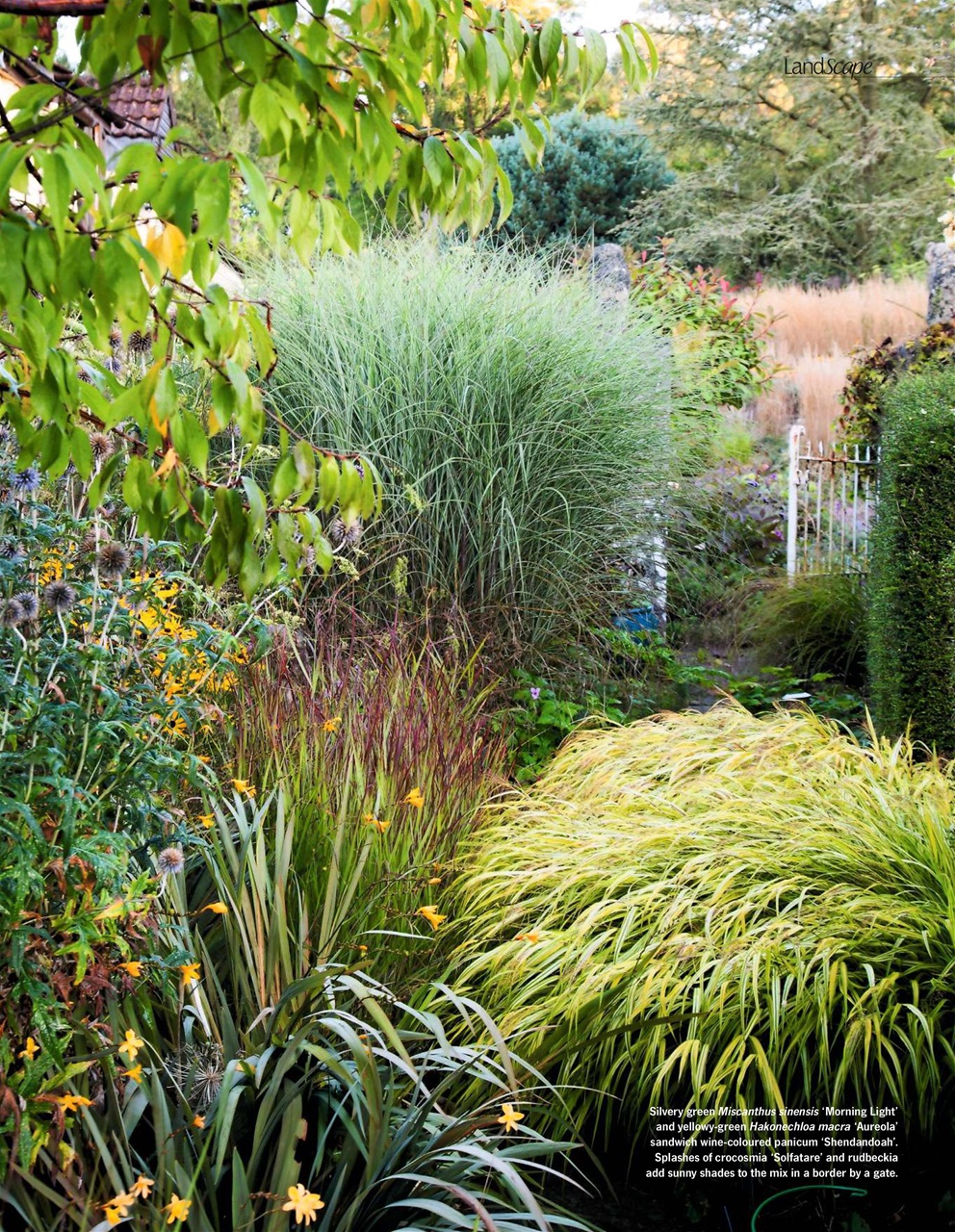 LandScape Preview Pages