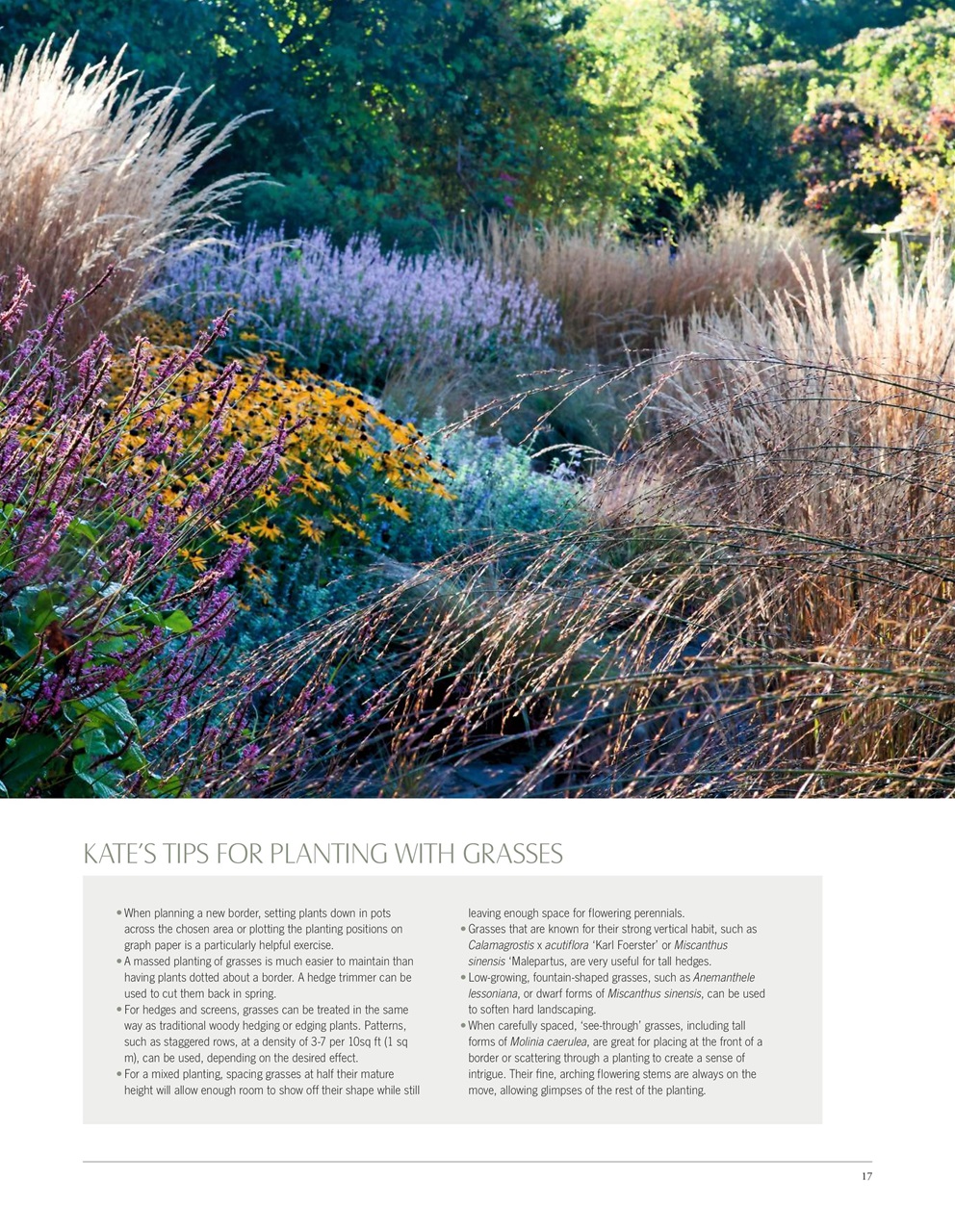 LandScape Preview Pages