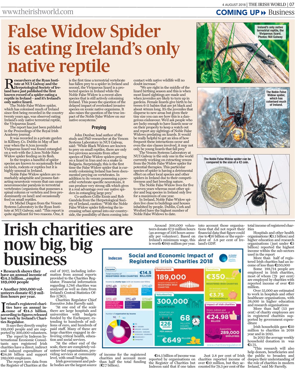 Irish World Preview Pages