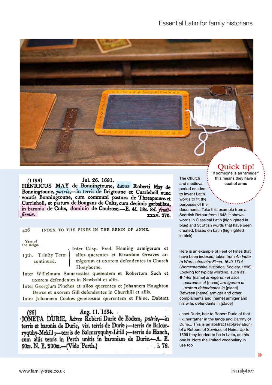 Family Tree Preview Pages