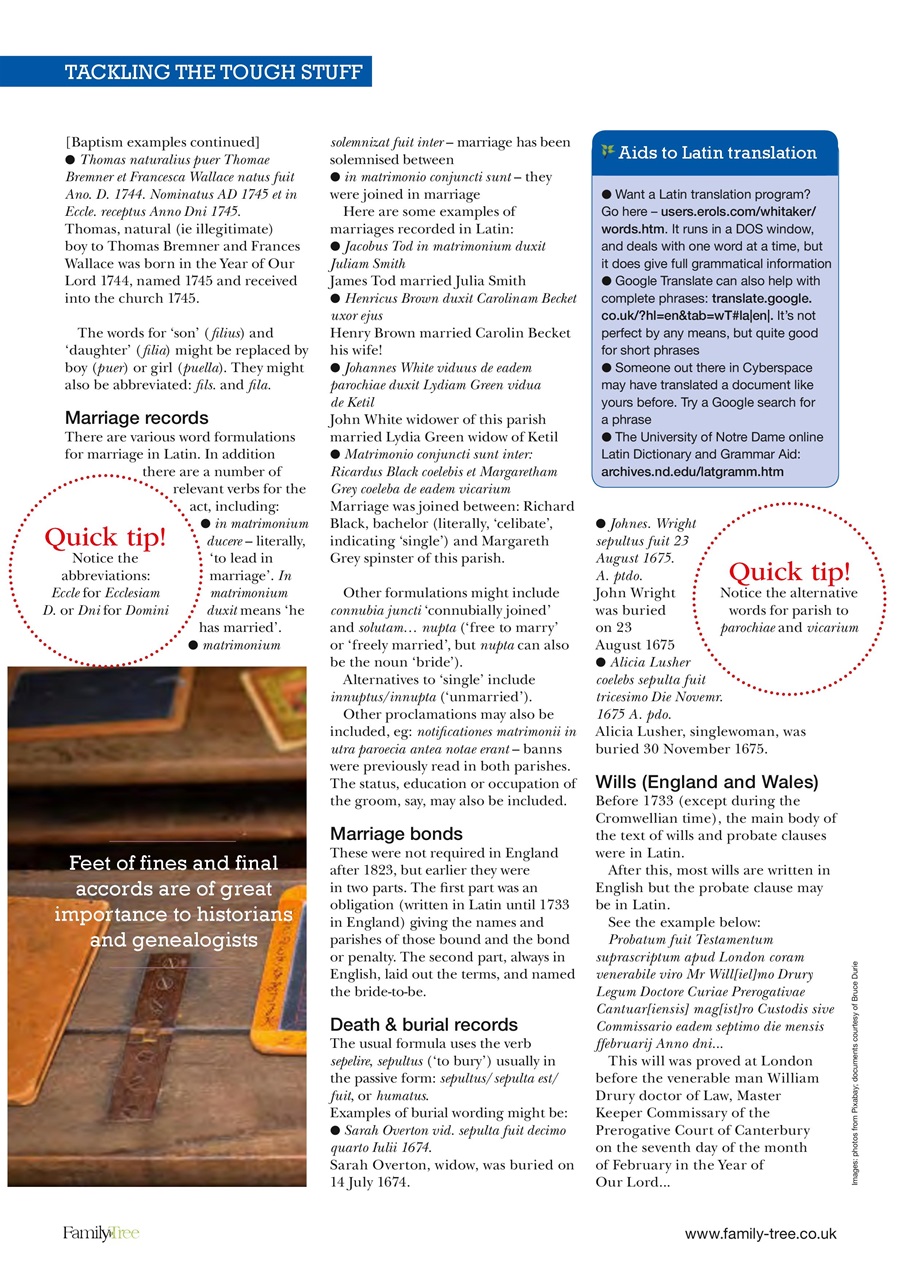 Family Tree Preview Pages