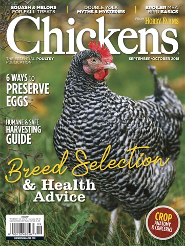 Chickens Magazine issue Sept/Oct