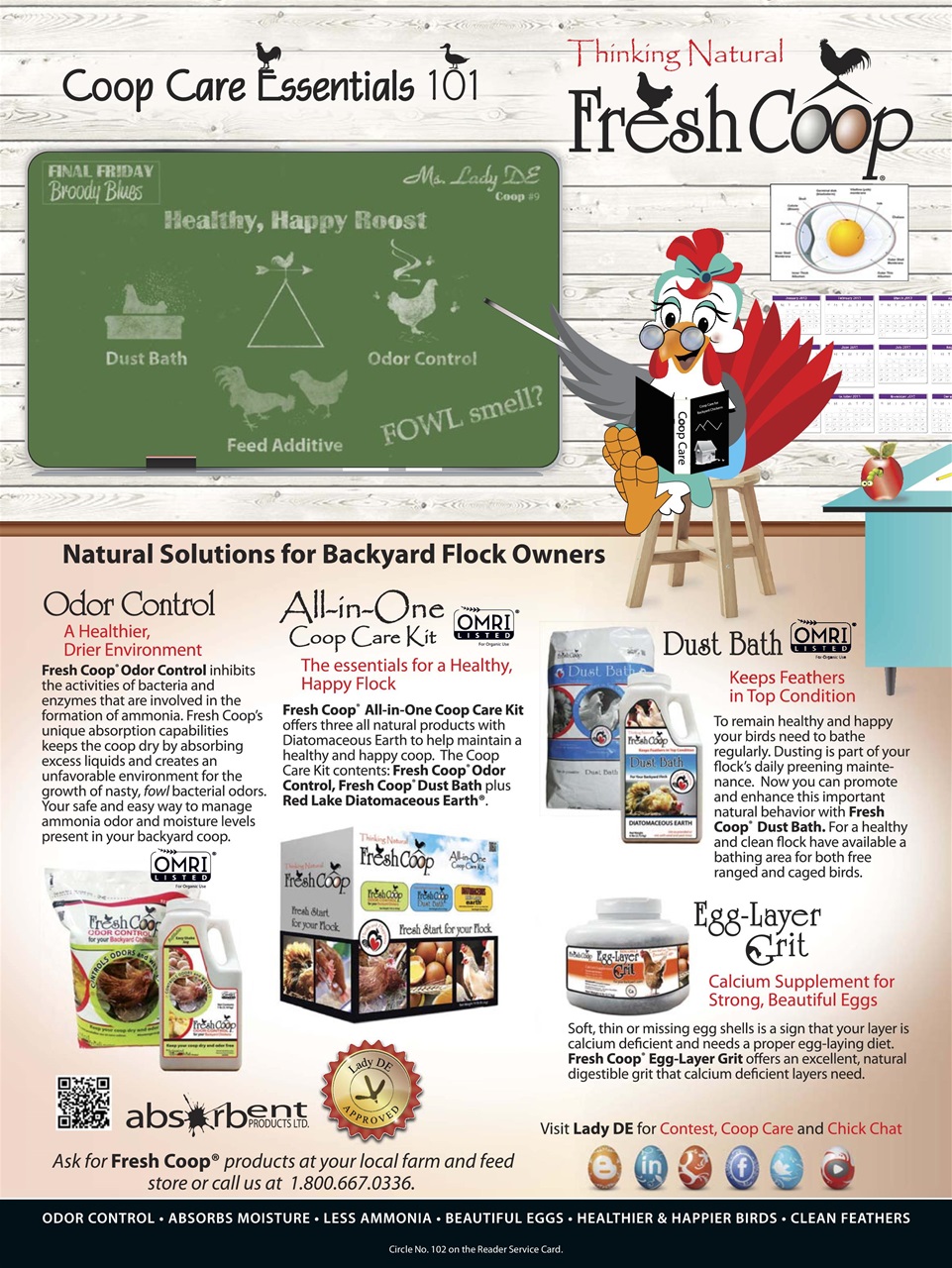 Chickens Magazine Preview Pages