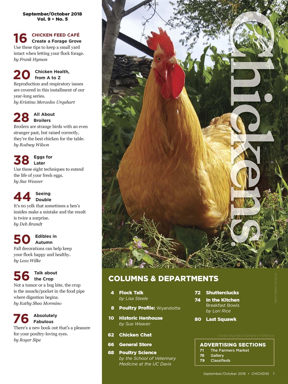 Chickens Magazine Preview Pages