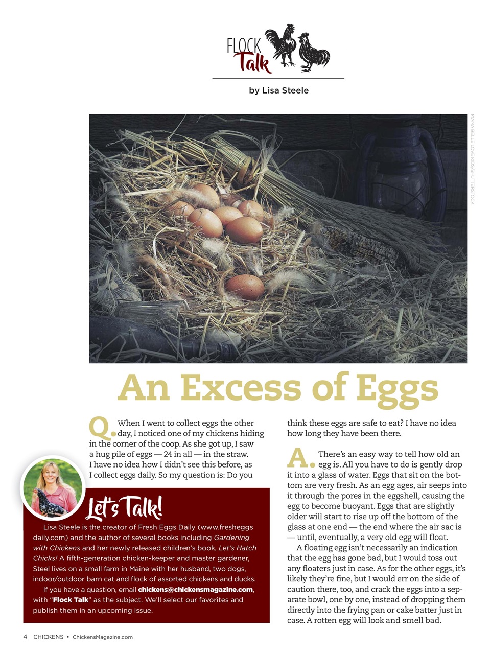 Chickens Magazine Preview Pages