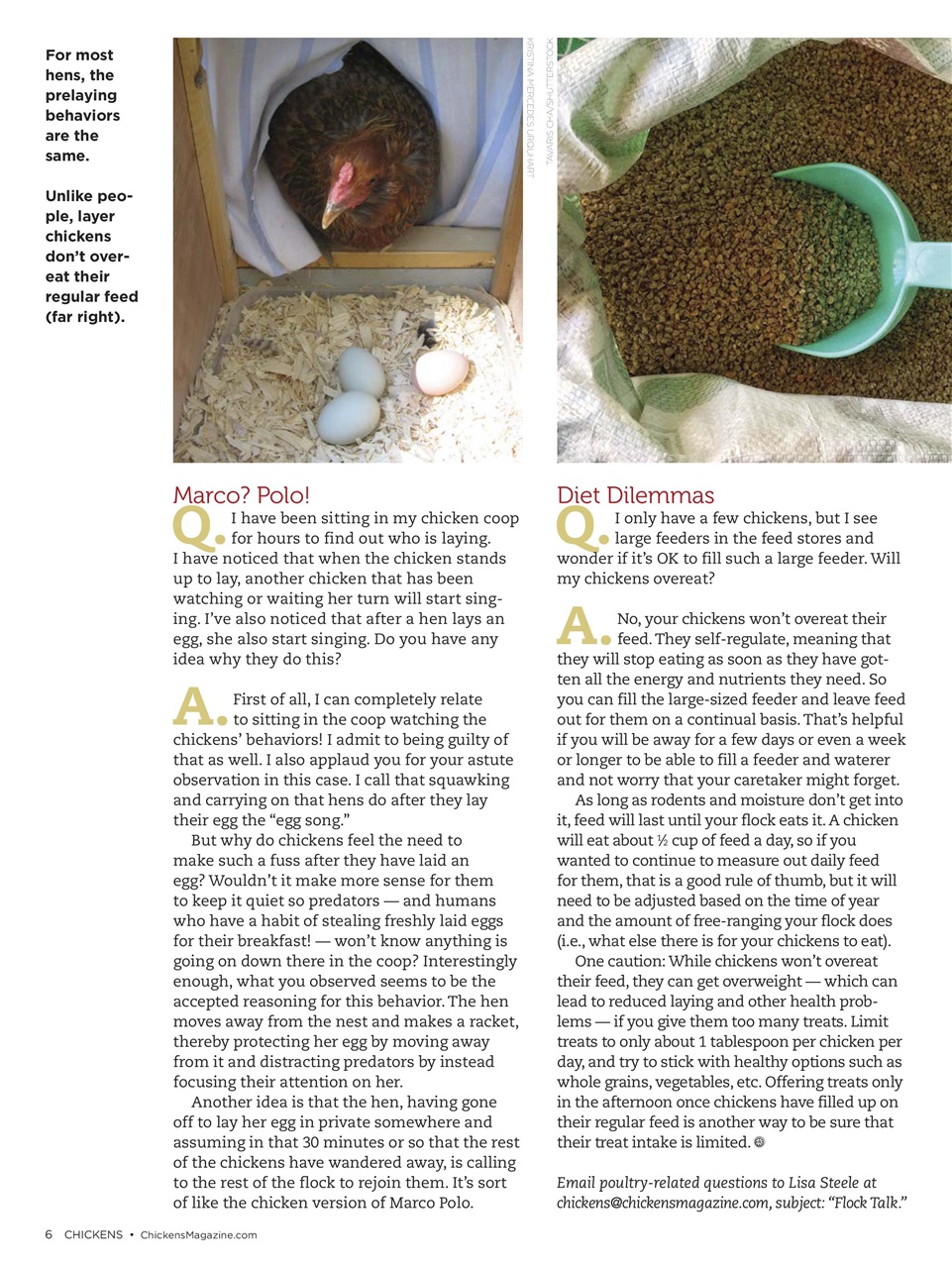 Chickens Magazine Preview Pages