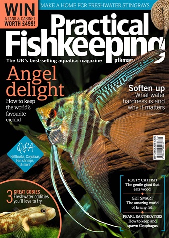 Practical Fishkeeping issue September 2018