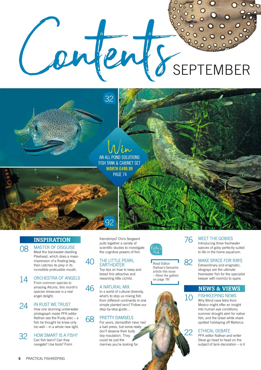 Practical Fishkeeping Preview Pages