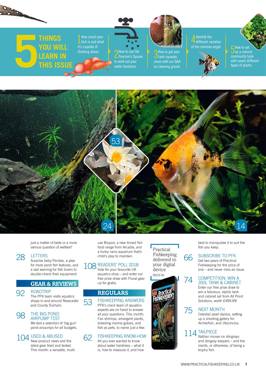 Practical Fishkeeping Preview Pages