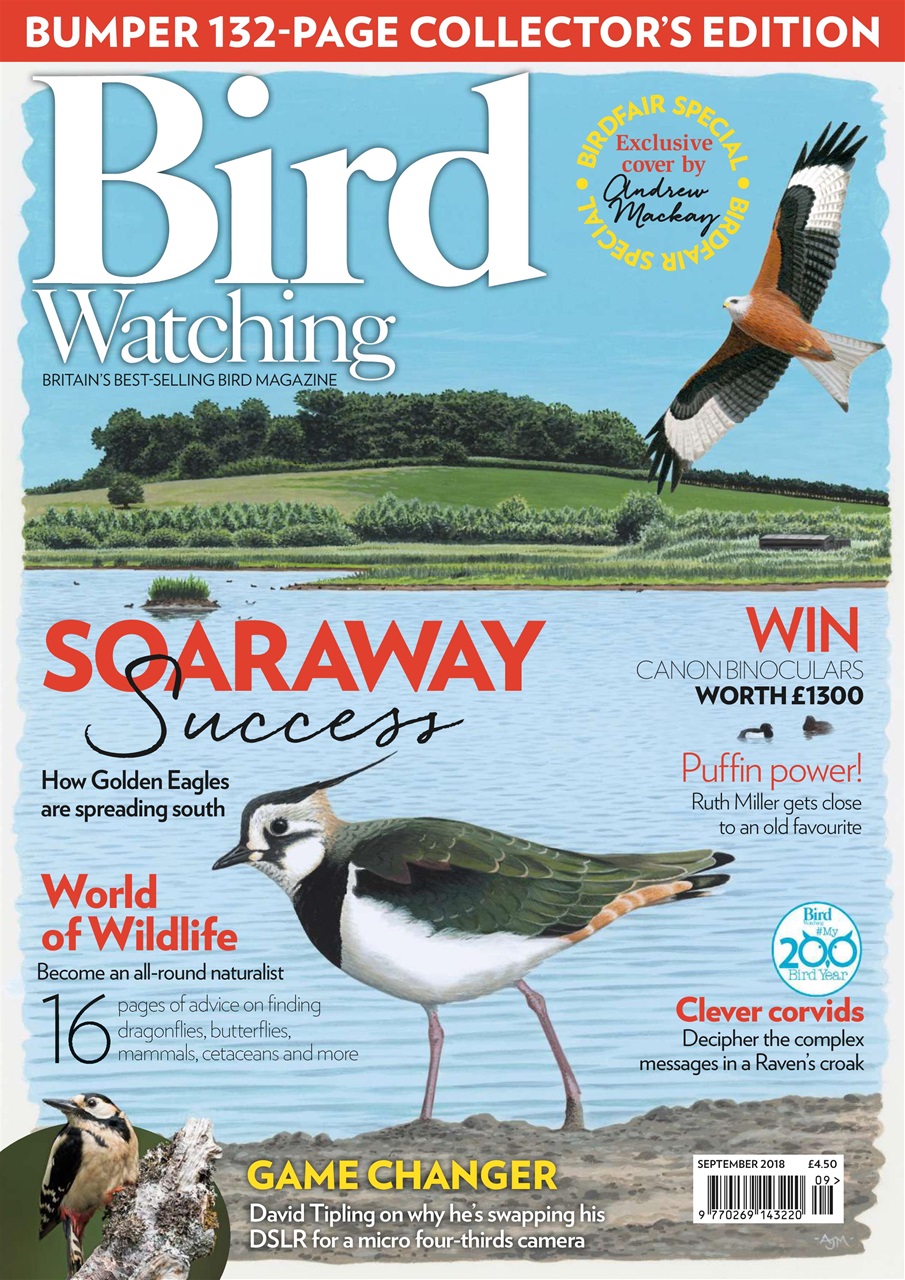 Bird Watching Preview Pages