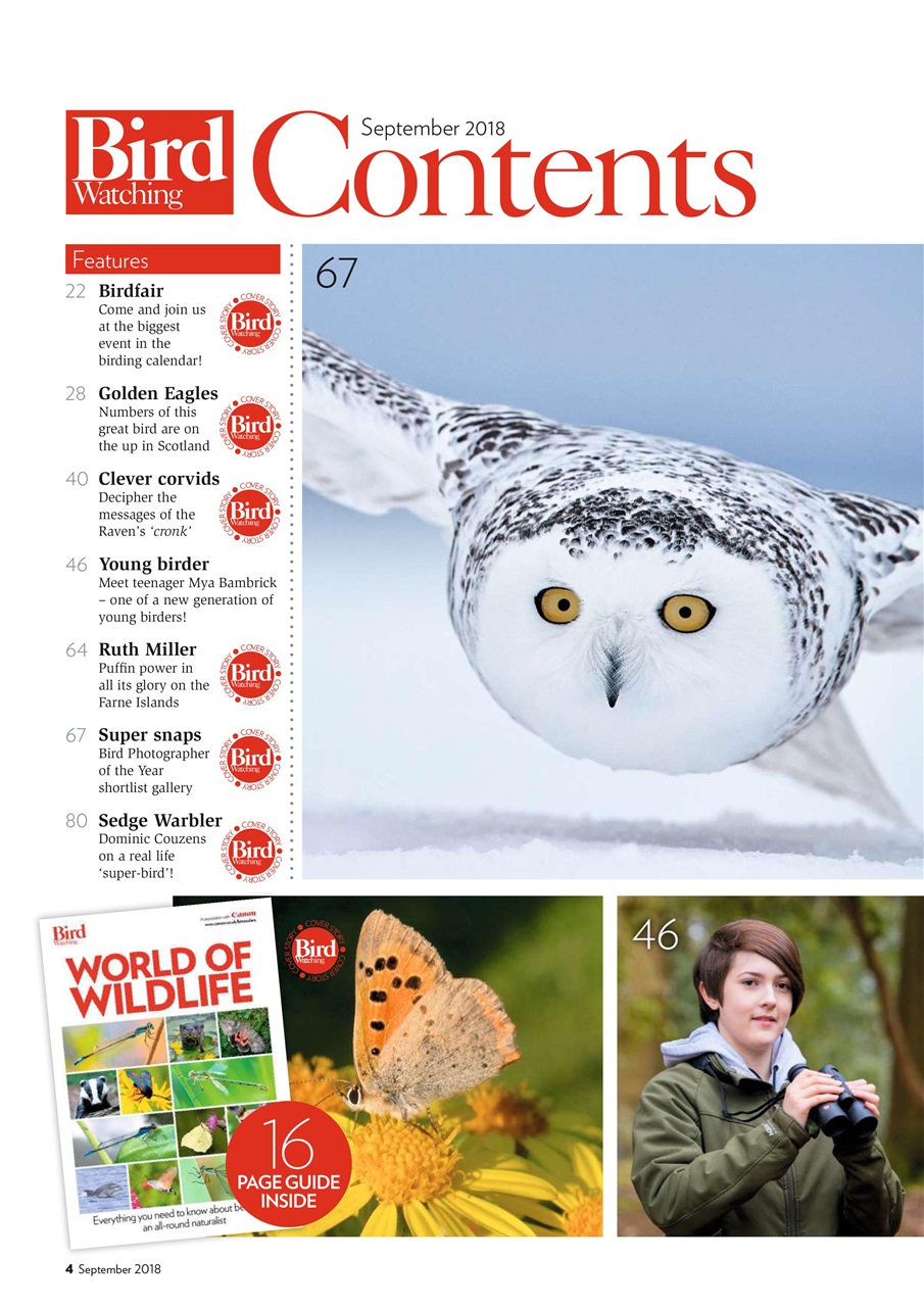 Bird Watching Preview Pages