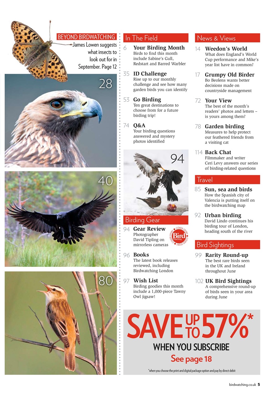 Bird Watching Preview Pages