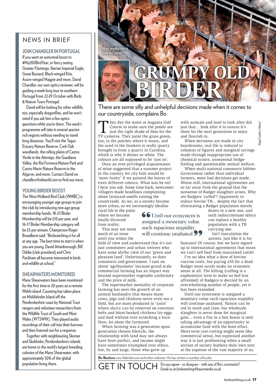 Bird Watching Preview Pages