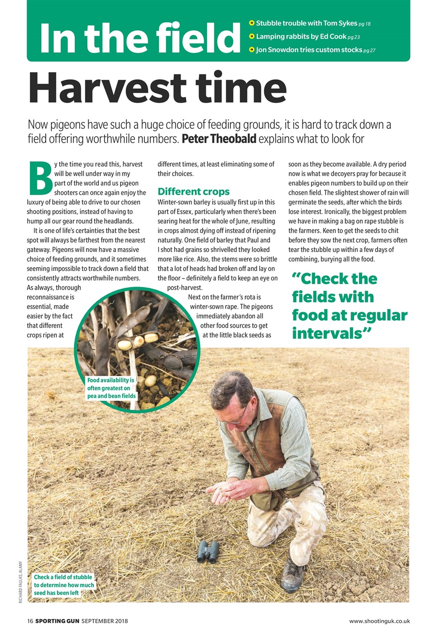 Sporting Gun Preview Pages