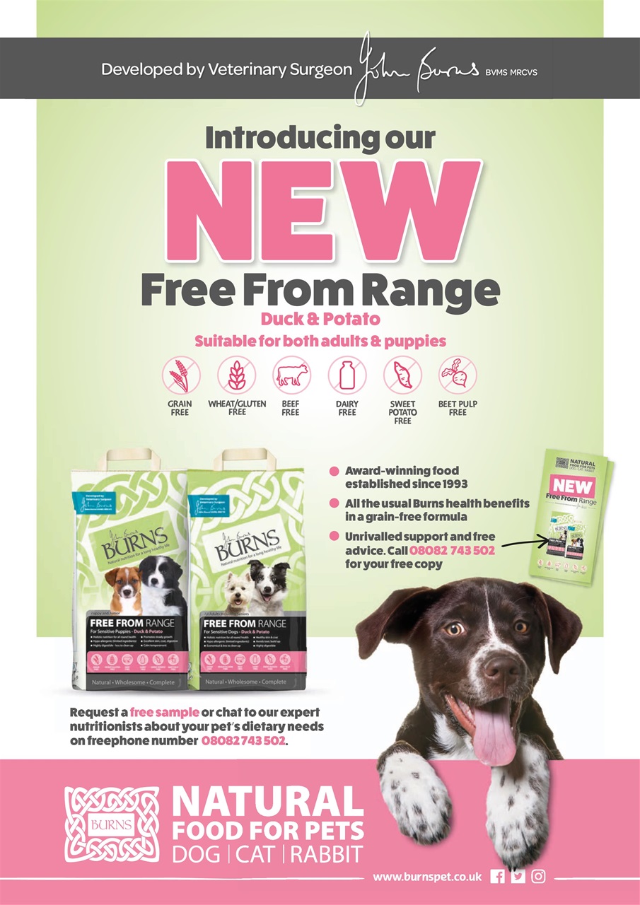 Dogs Monthly Preview Pages