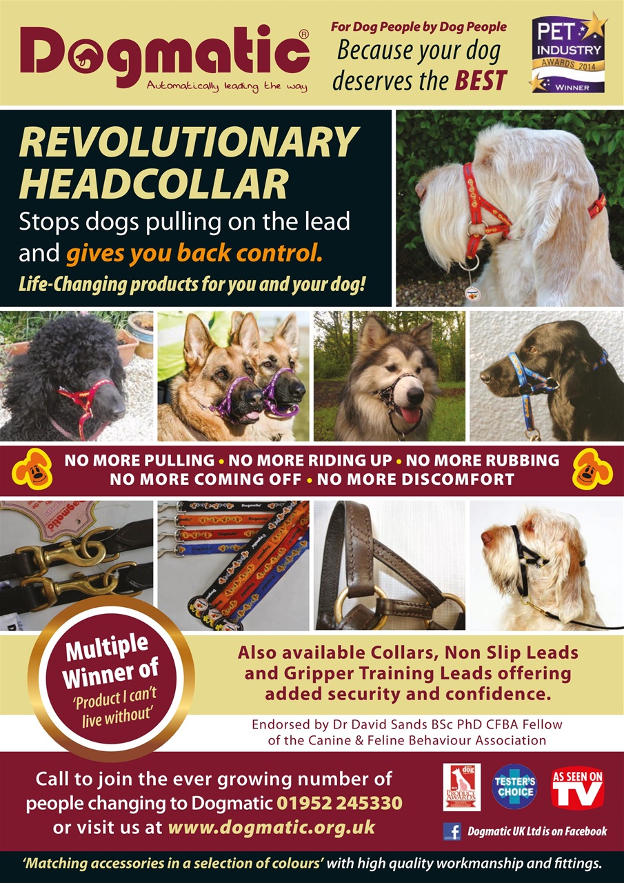 Dogs Monthly Preview Pages