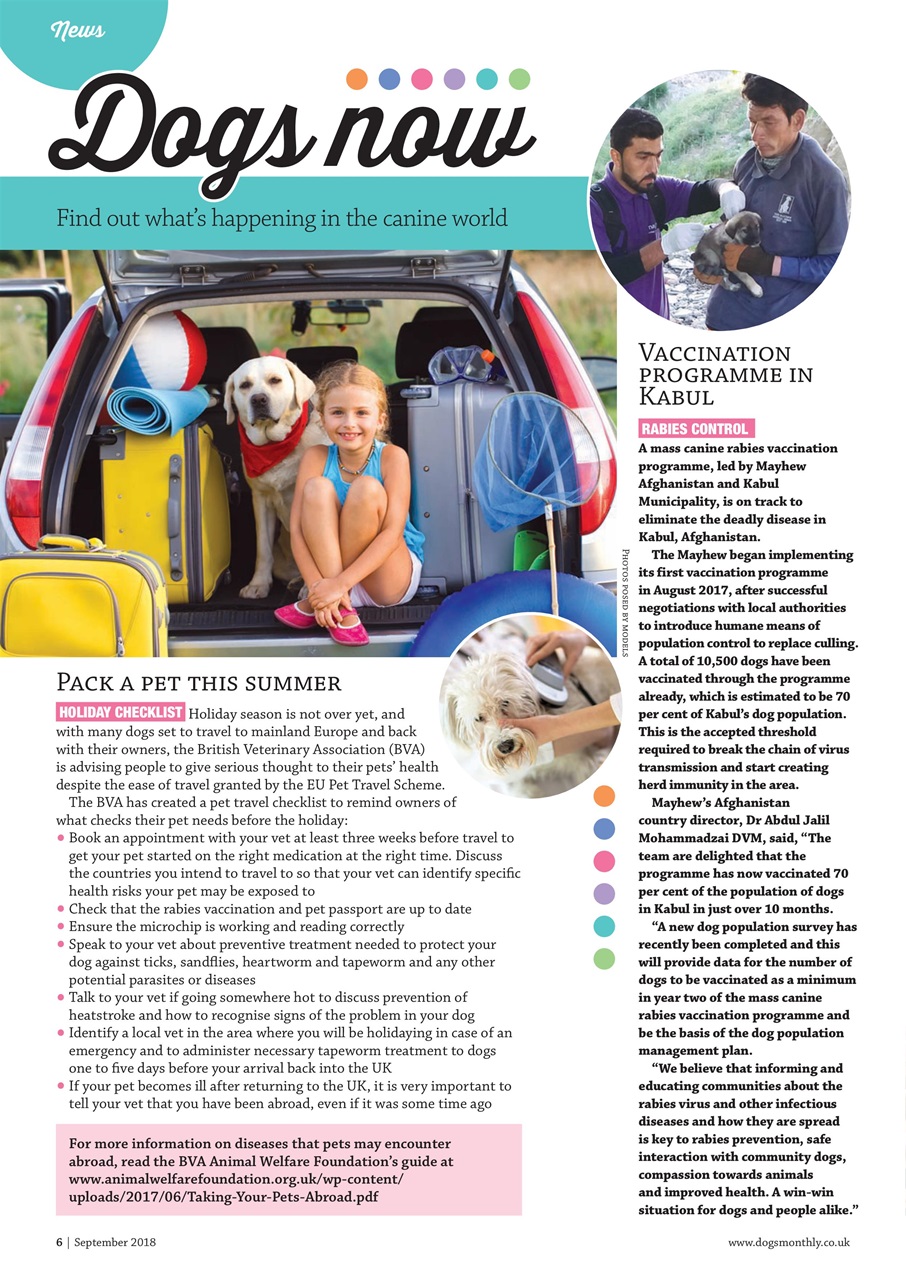 Dogs Monthly Preview Pages