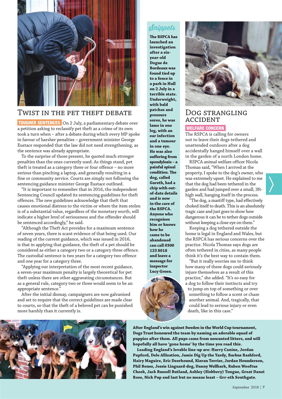 Dogs Monthly Preview Pages