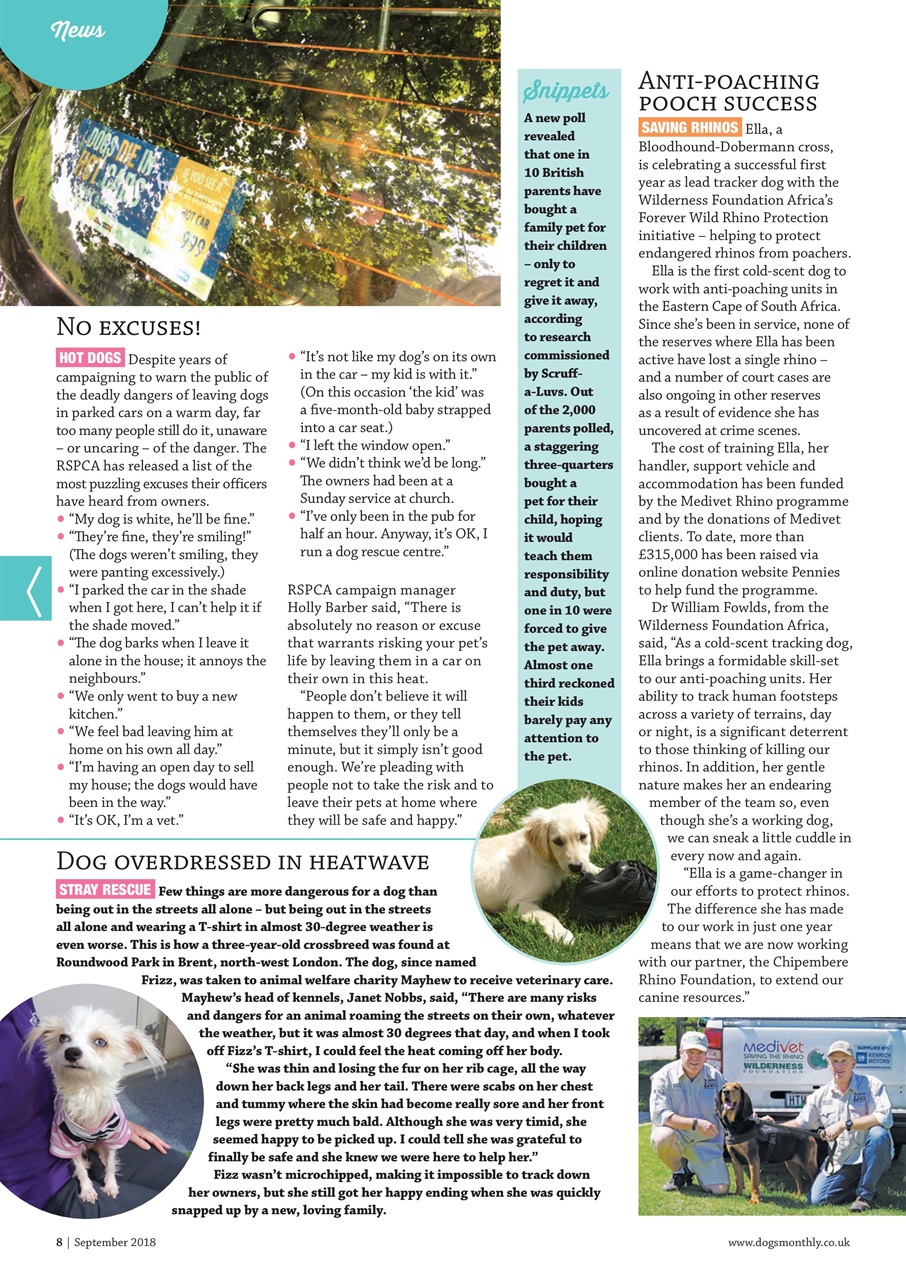 Dogs Monthly Preview Pages