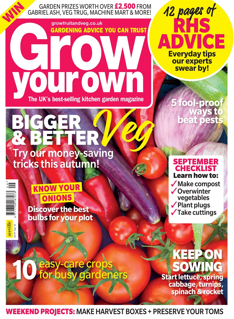 Grow Your Own Preview Pages
