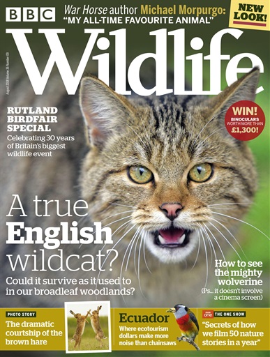 BBC Wildlife Magazine issue 