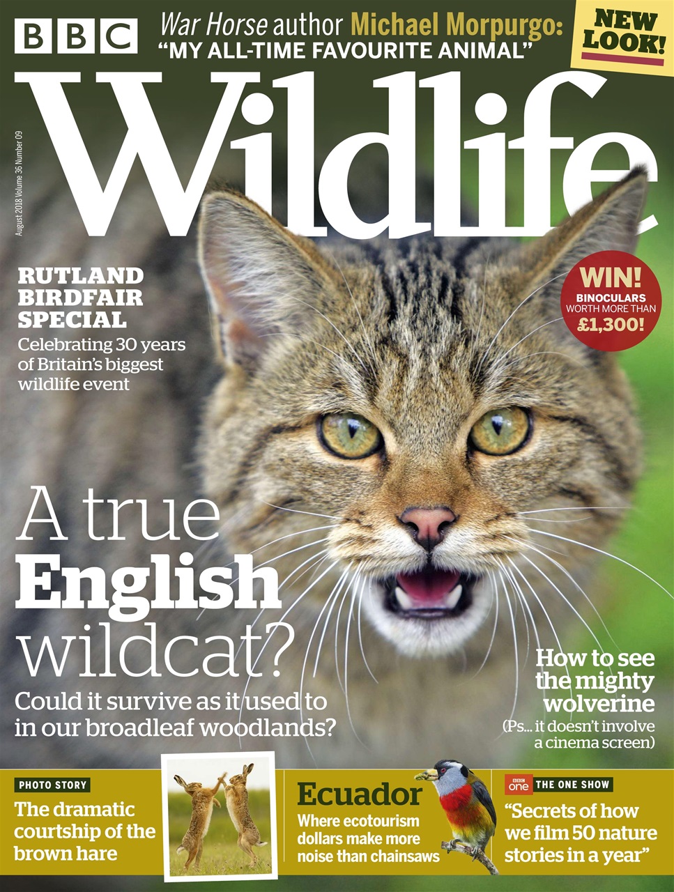 BBC Wildlife Magazine Preview Pages