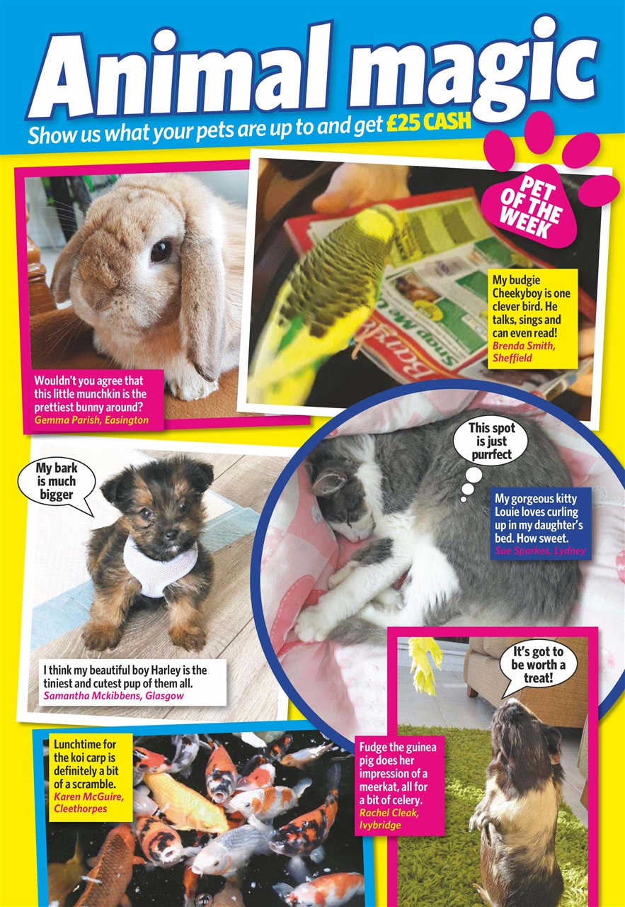 Pick Me Up Preview Pages