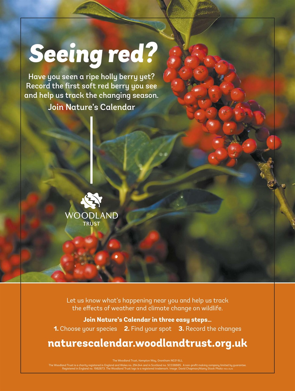 BBC Countryfile Magazine Preview Pages