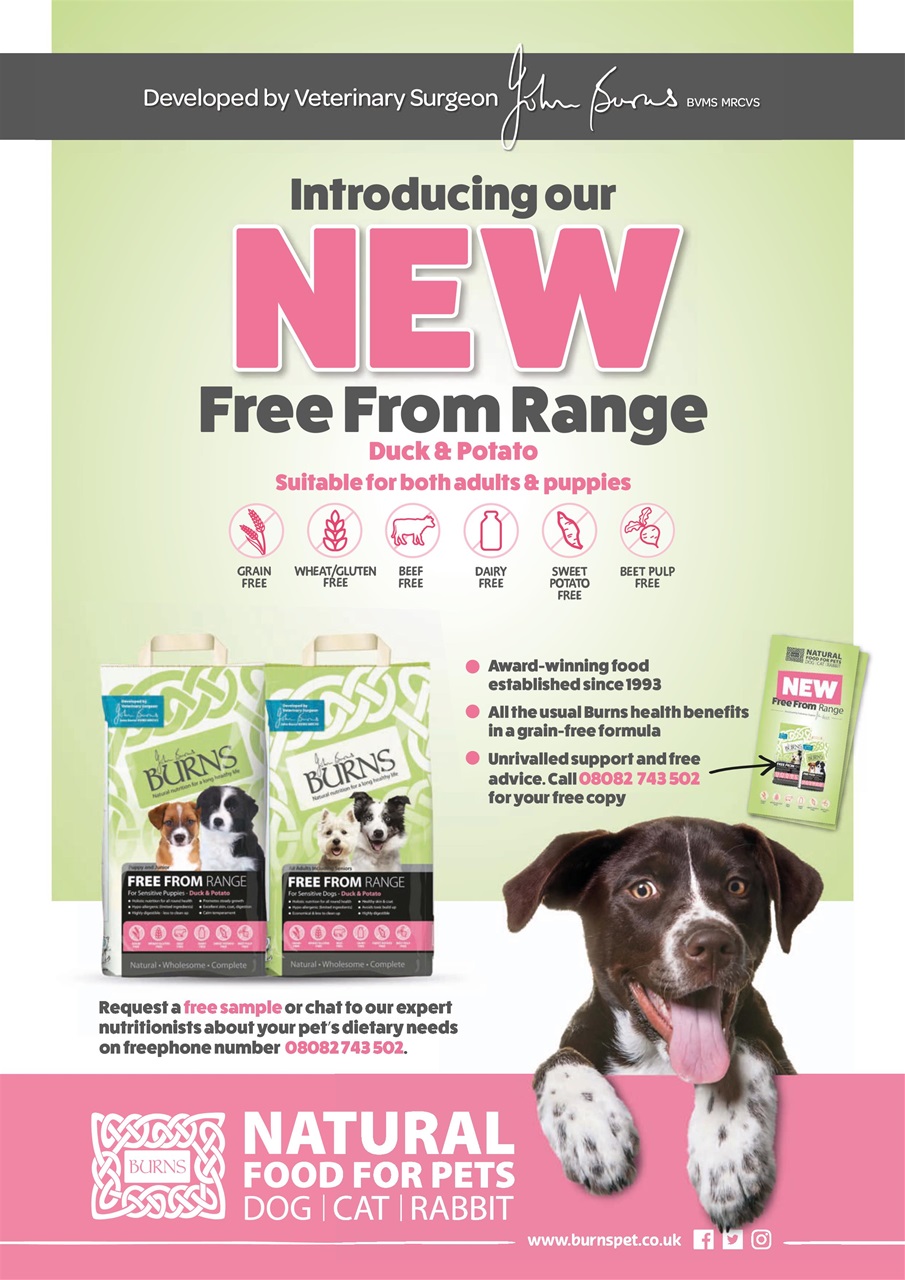 Dogs Today Magazine Preview Pages