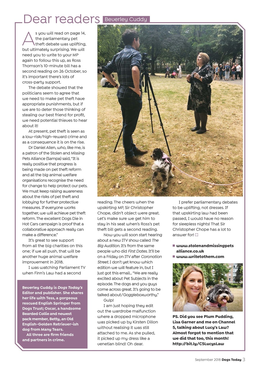 Dogs Today Magazine Preview Pages