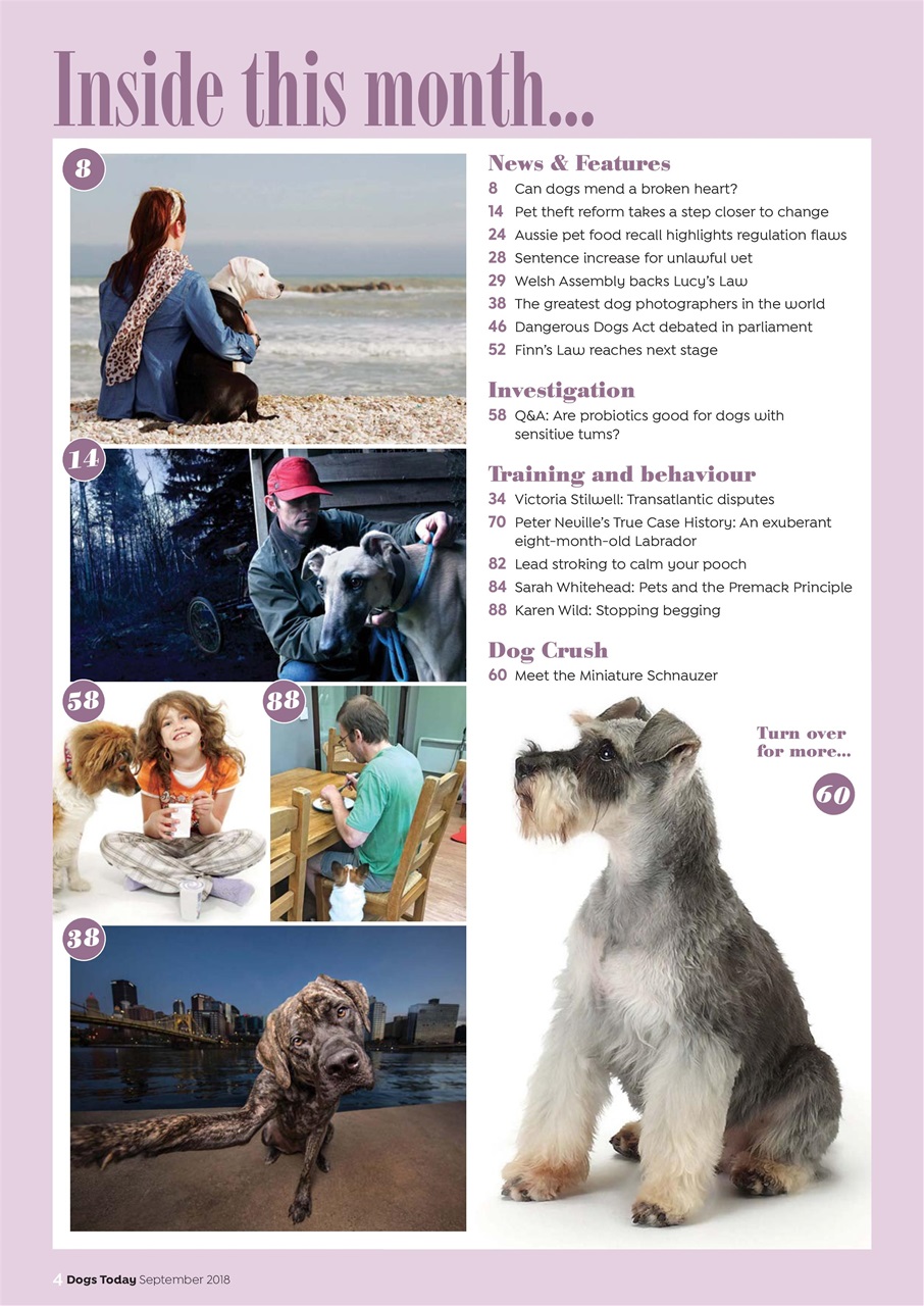 Dogs Today Magazine Preview Pages