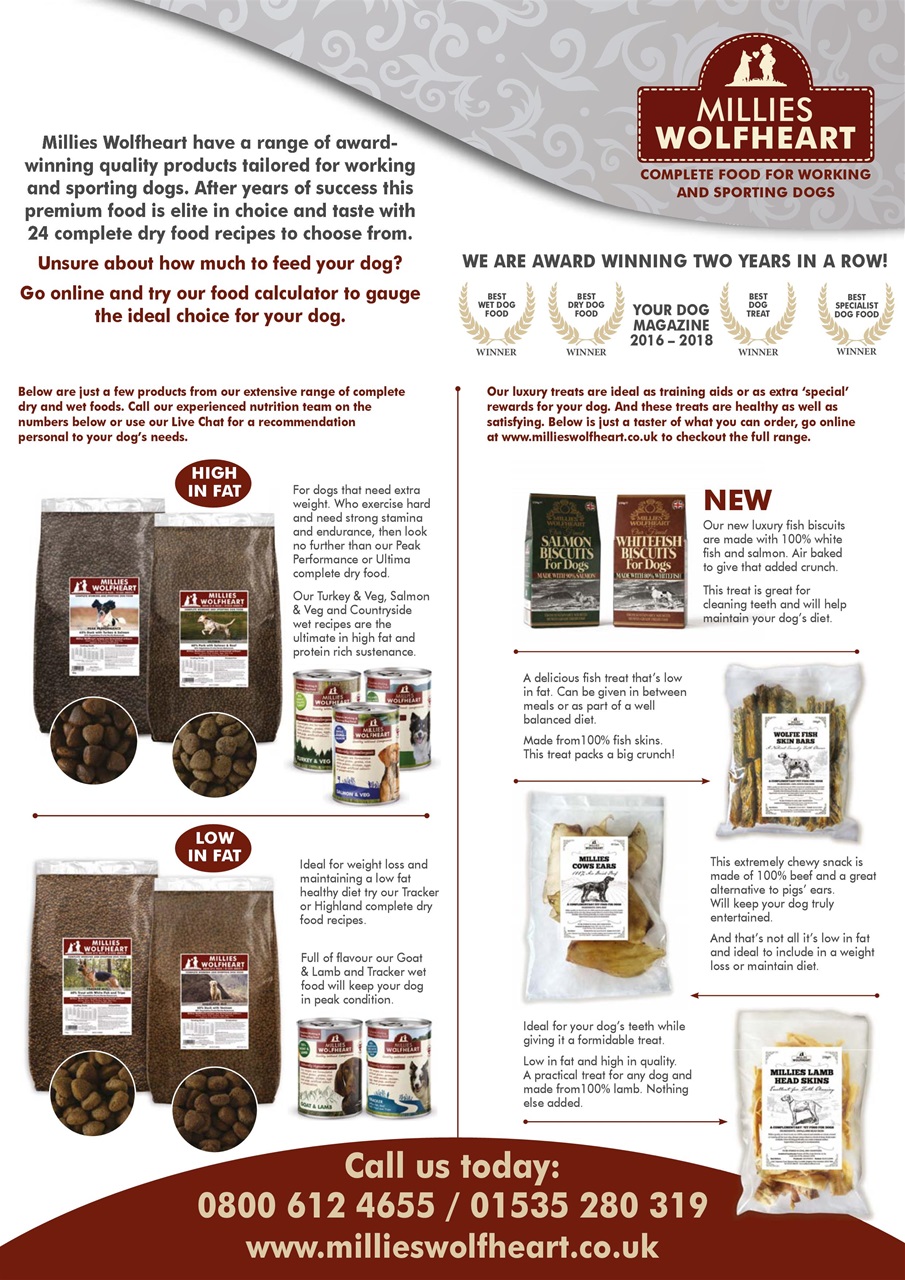 Dogs Today Magazine Preview Pages