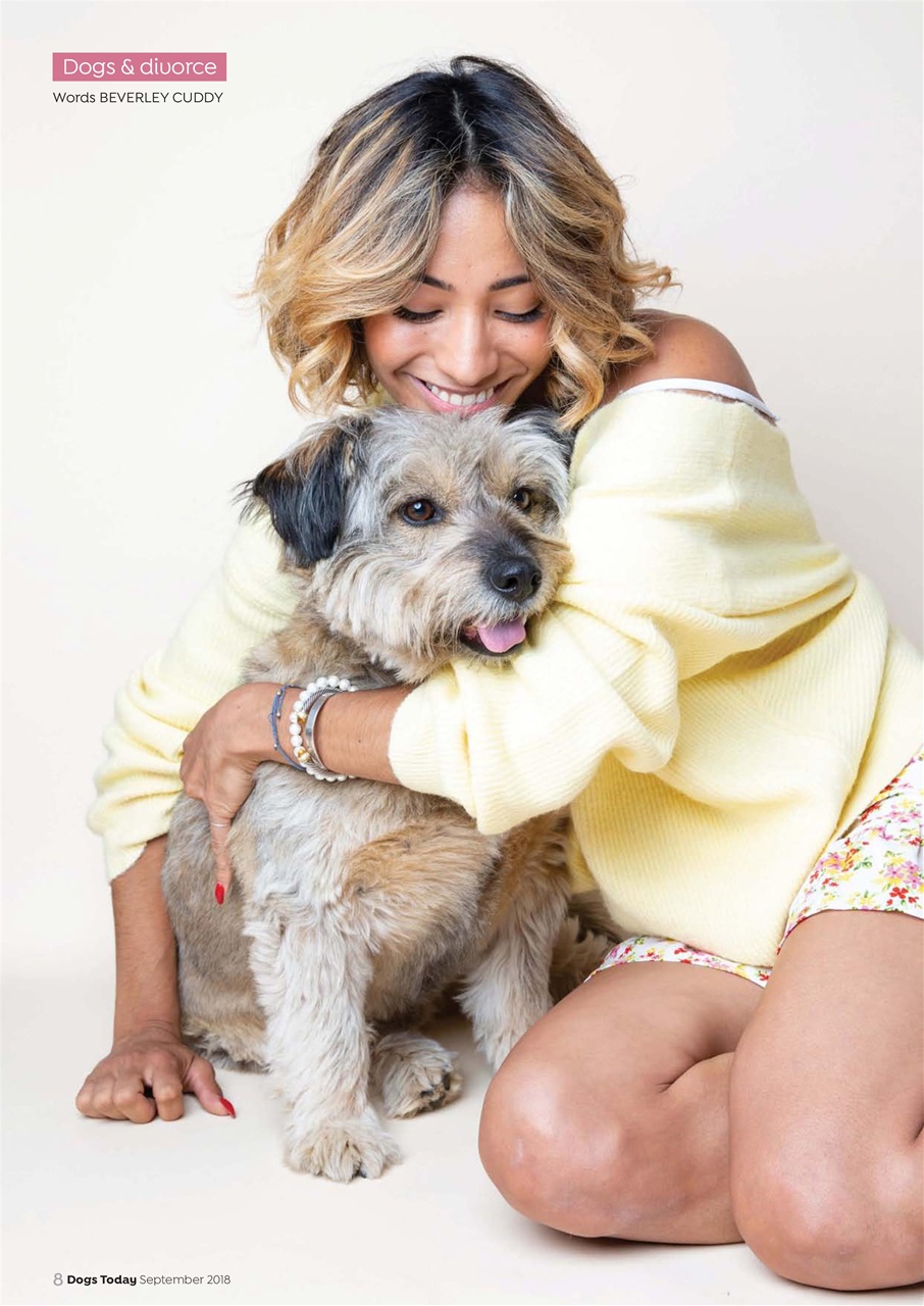 Dogs Today Magazine Preview Pages