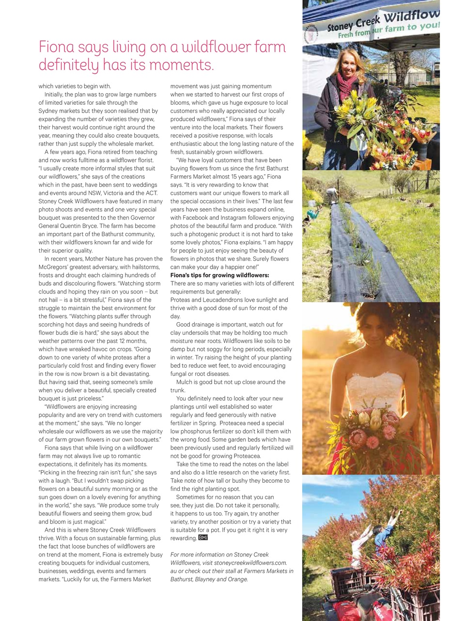 Blue Mountains Life Preview Pages