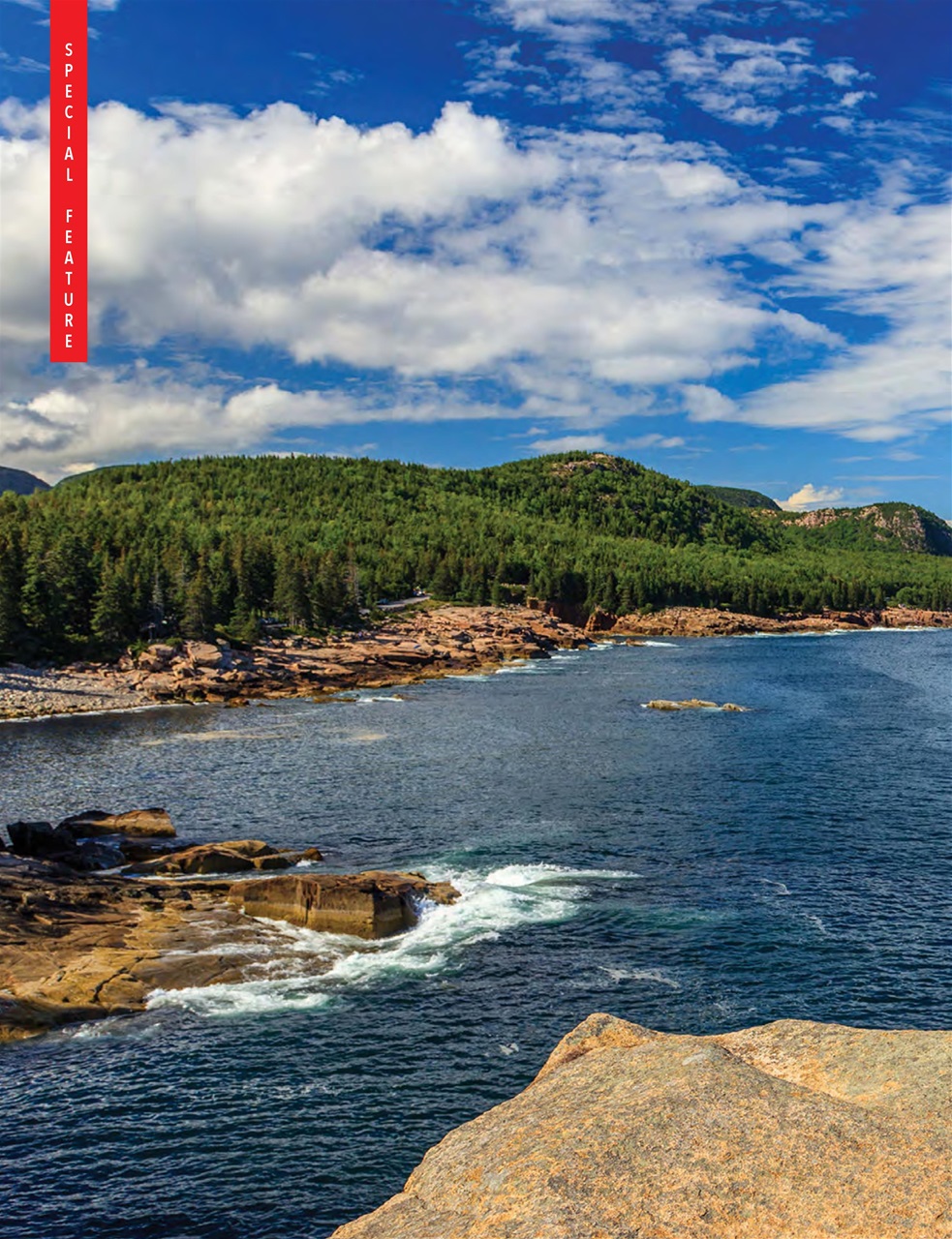 Snowbirds & RV Travelers Preview Pages