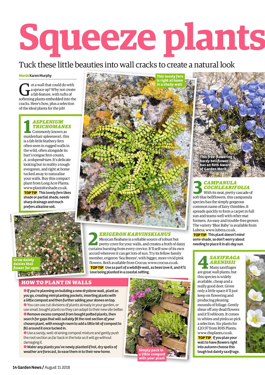 Garden News Preview Pages